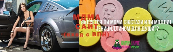 шишки Переславль-Залесский