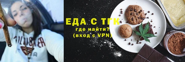 хмурый Пересвет