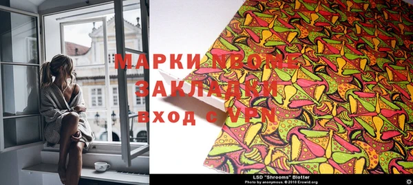 хмурый Пересвет