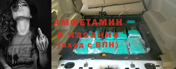 хмурый Пересвет