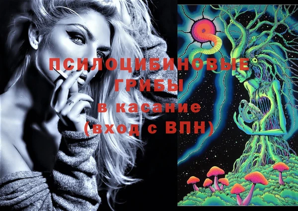 шишки Переславль-Залесский