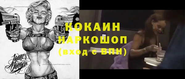 шишки Переславль-Залесский