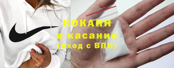 хмурый Пересвет
