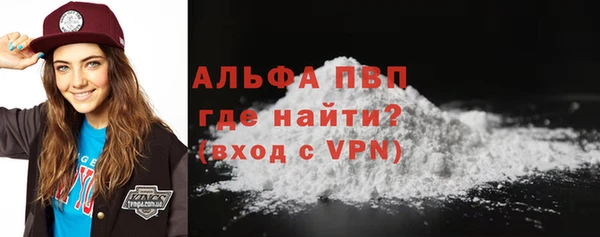 хмурый Пересвет
