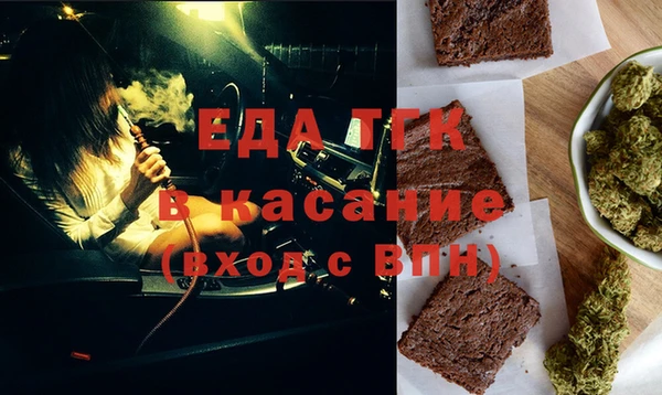 хмурый Пересвет