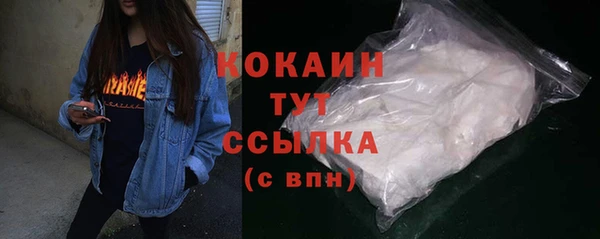 шишки Переславль-Залесский