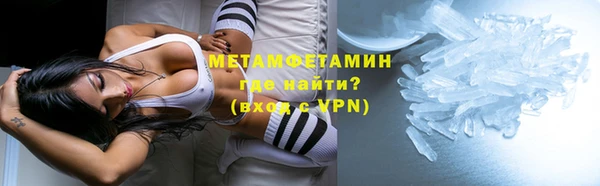 хмурый Пересвет