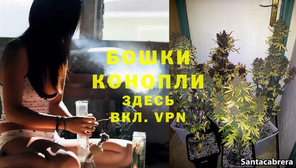 шишки Переславль-Залесский