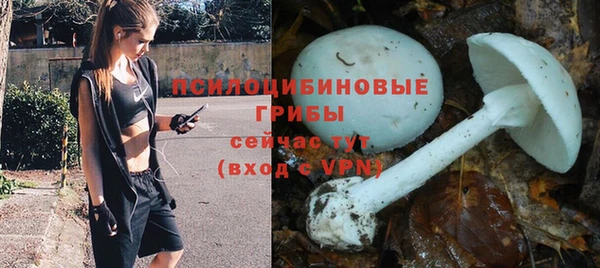 хмурый Пересвет