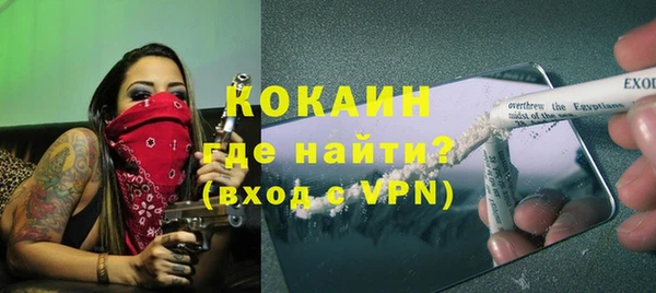 хмурый Пересвет