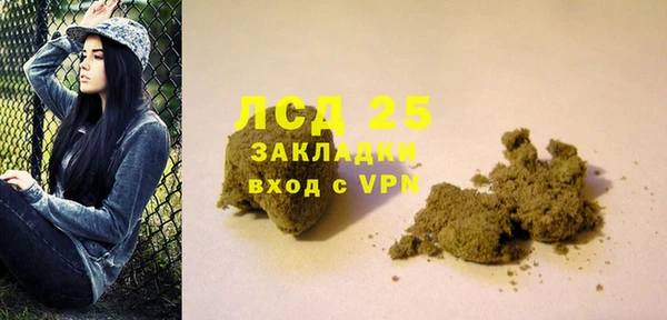 хмурый Пересвет