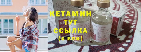 хмурый Пересвет