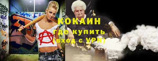 хмурый Пересвет