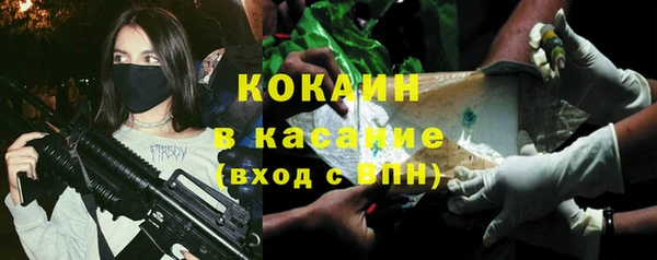 шишки Переславль-Залесский