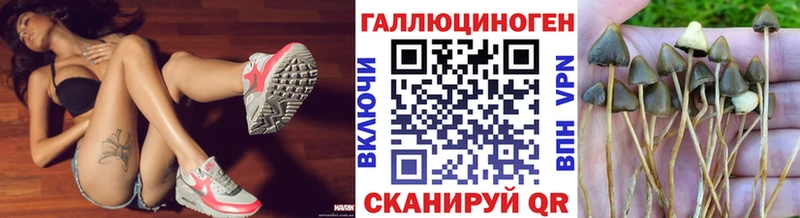 Псилоцибиновые грибы Psilocybine cubensis  Купить закладки  Полтавская 